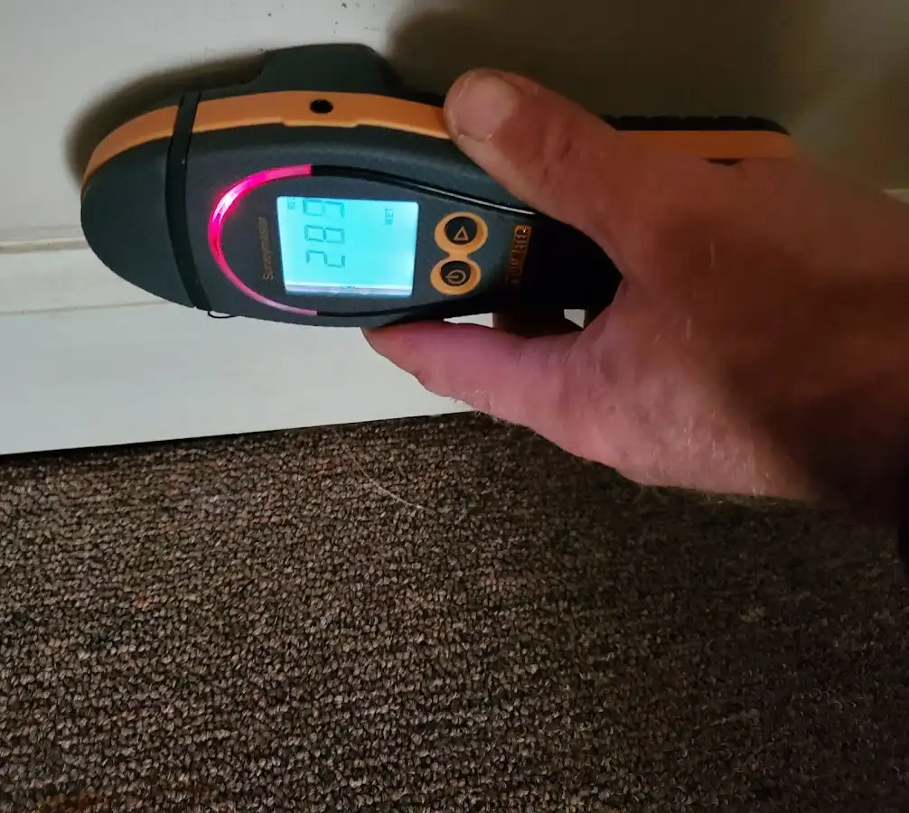 Moisture detection at baseboard during Mold Inspection & Testing in Carrollton